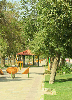 طراحی و اجرای فضای سبز
